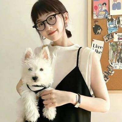 新猛龙过江